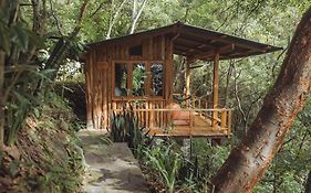 Kawoq Forest